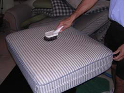 upholstery cleaning_pre groom