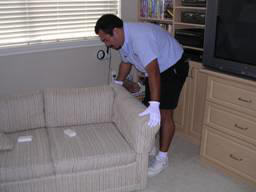 upholstery cleaning_pre inspection