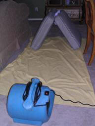 upholstery cleaning_speed dry