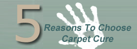 5 reasons to choose carpet cure
